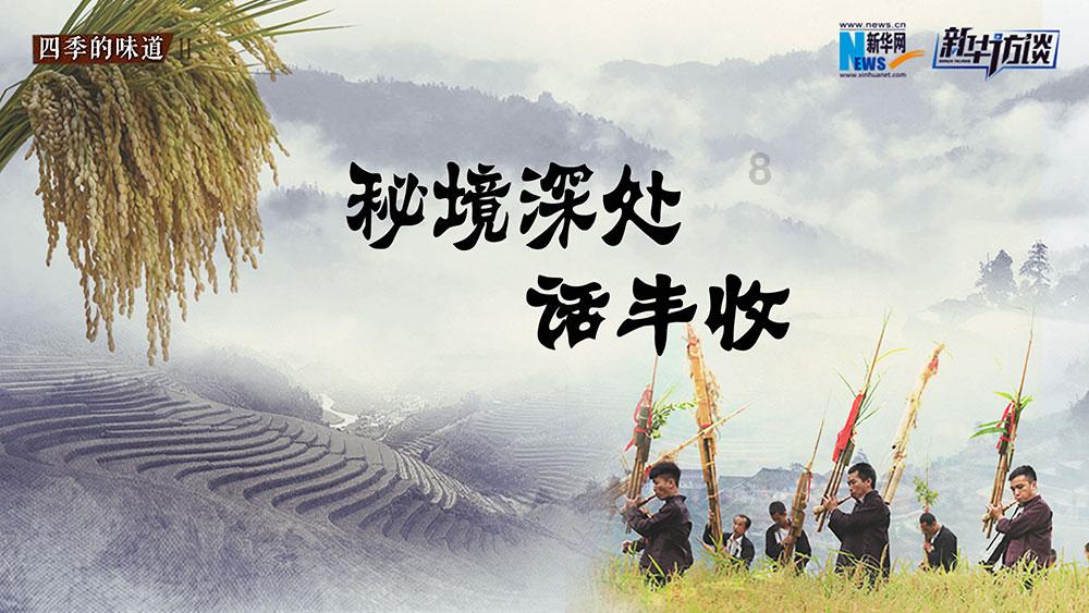 春雨直播app