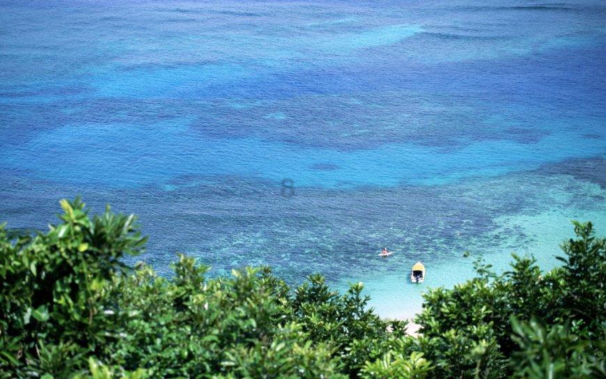 虫虫助手下载